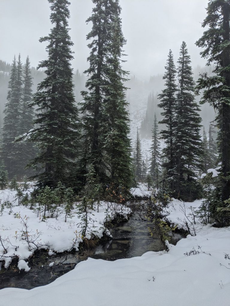 Pretty creek running through the meadows