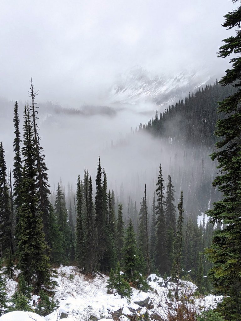 Loved these misty views