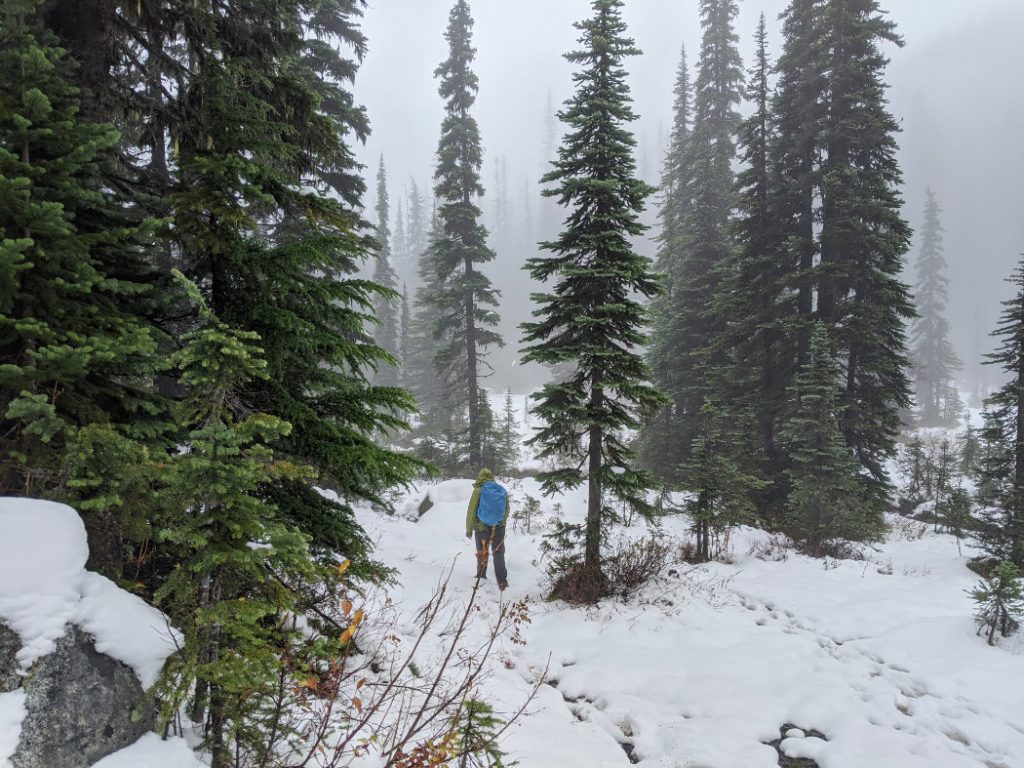 Views in the misty meadow below Rohr Lake