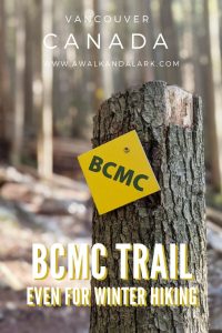 BCMC trail - you can still hike up Grouse Mountain when the Grouse Grind is closed