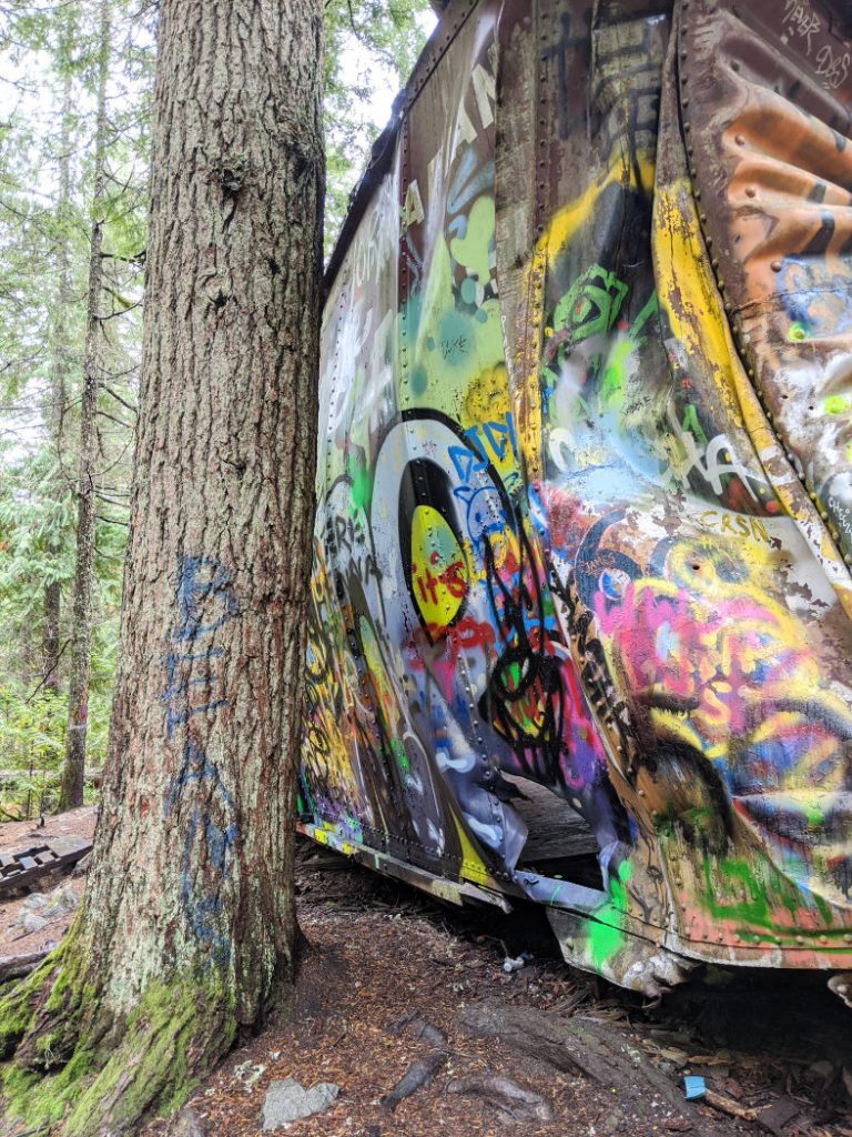 Big trees and squished carriages