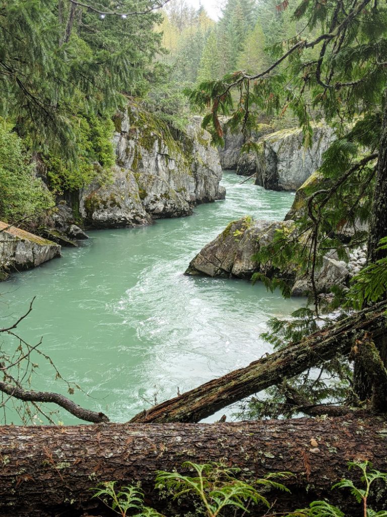 Cheakamus River views