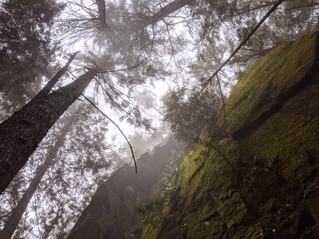 Cliffs and trees near Crooked Falls
