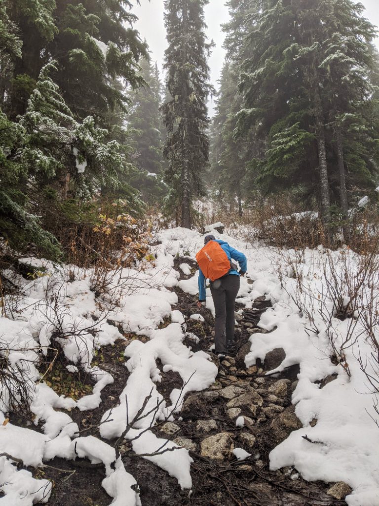 Creek on the edge of the boulder field
