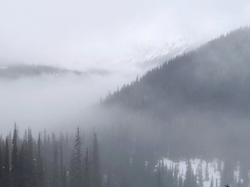 Misty views from near Rohr Lake
