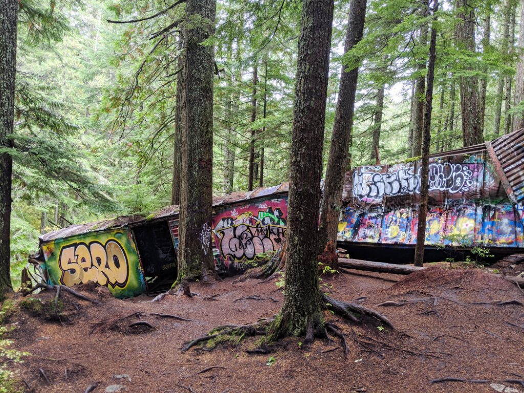 Three carriages in the forest