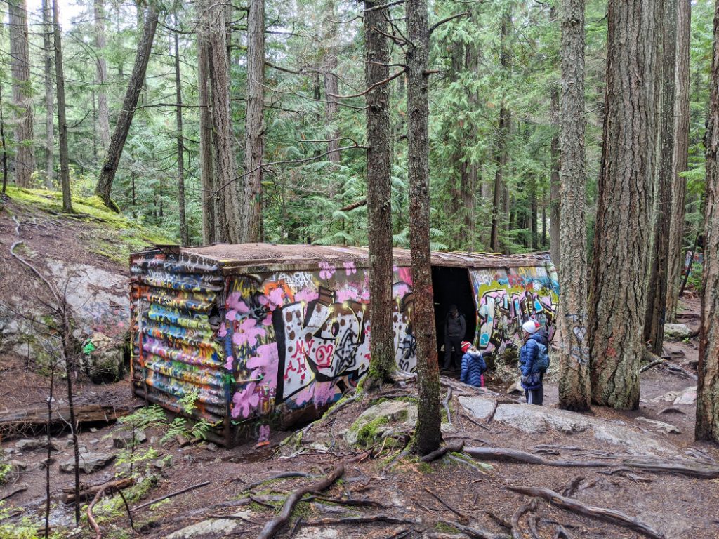 Train carriage through the tree