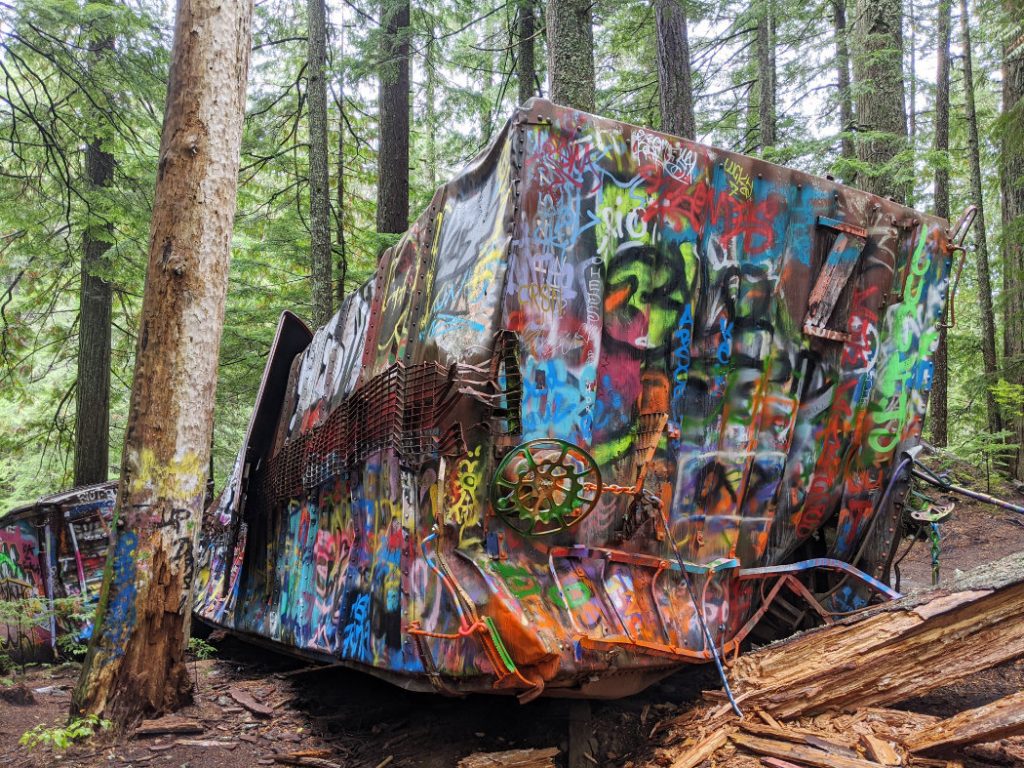 Trains in the forest