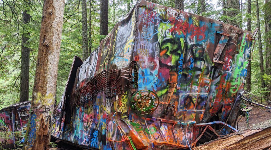Trains in the forest