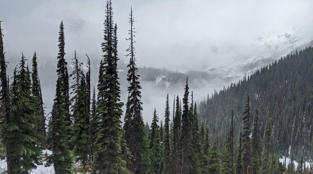 Views before we headed down from near Rohr Lake