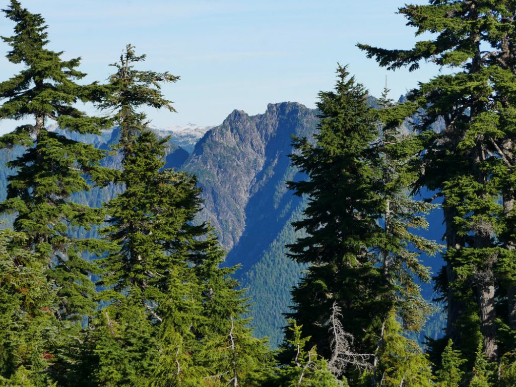 Crown Mountain from Hollyburn Peak