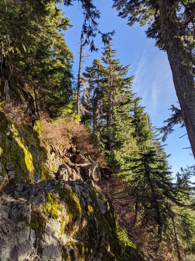 Peeking up Hiollyburn Peak