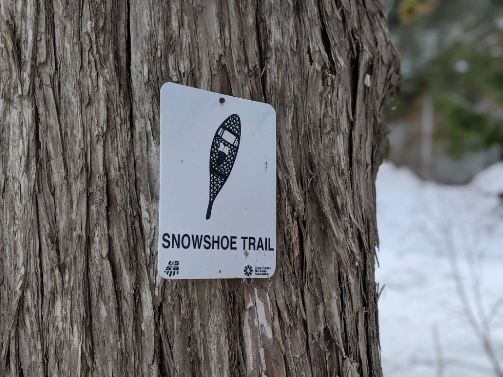 Snowshoe trail markers - Alexander Falls