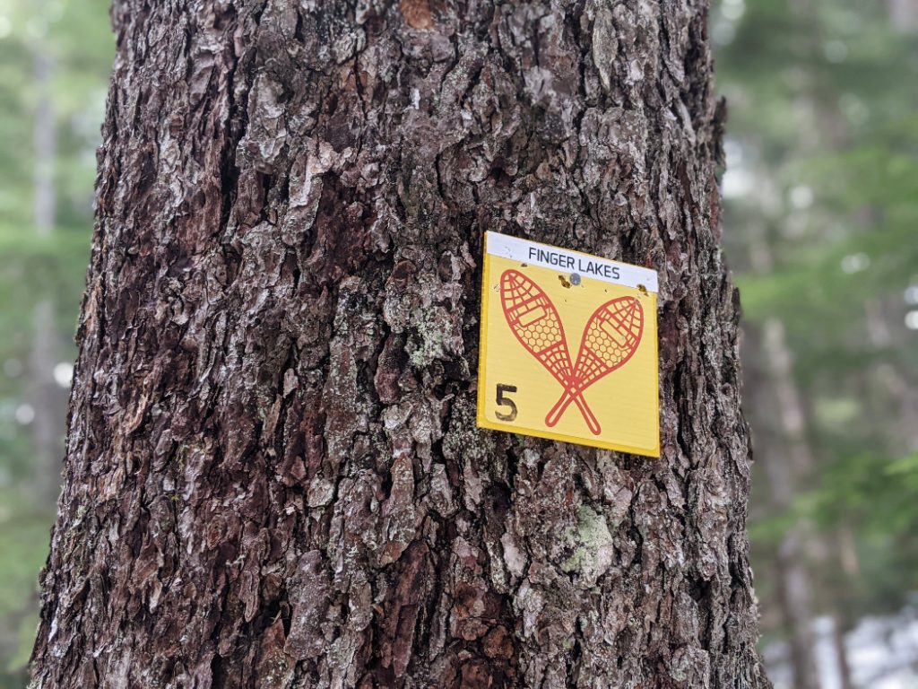 Snowshoe trail markers - Finger Lakes