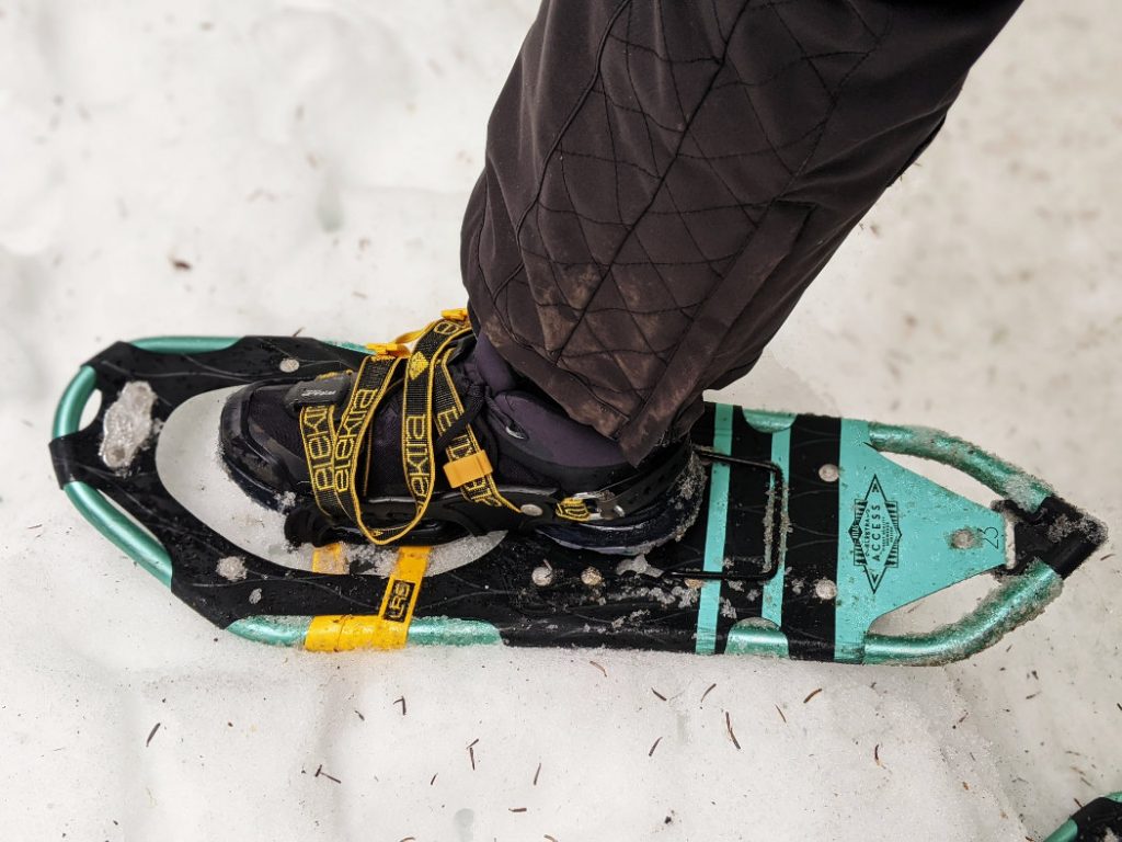 Snowshoes