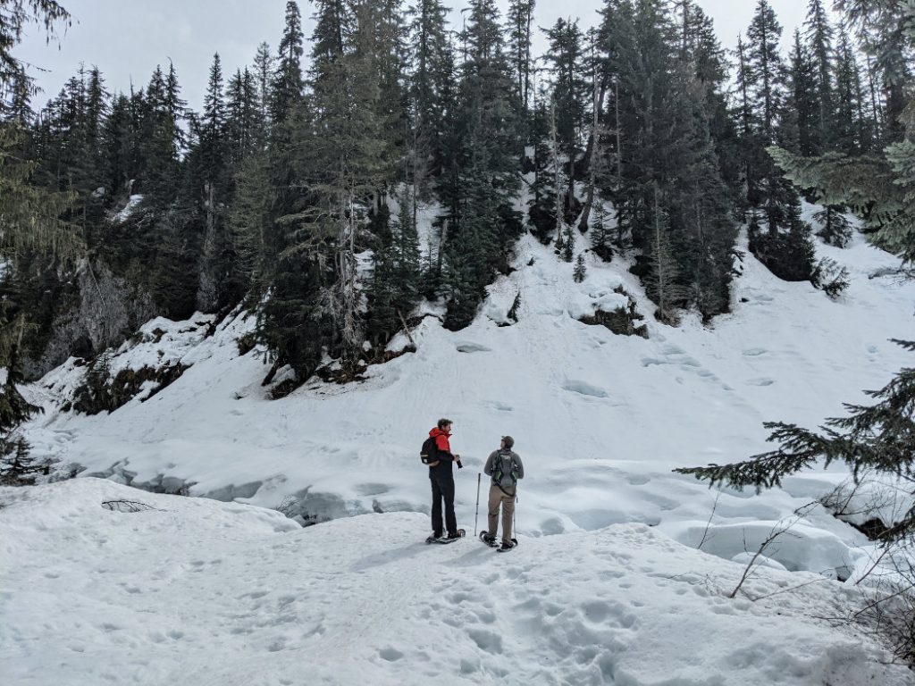 The river close to Alexander Falls