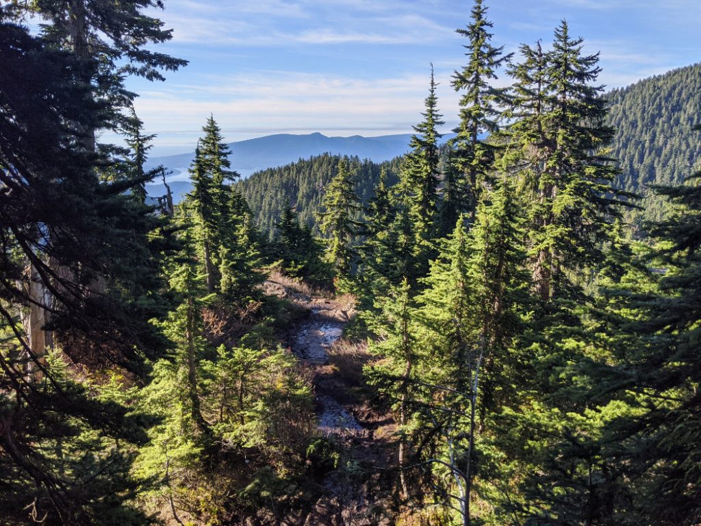 Views down from the trail on Hollyburn Peak