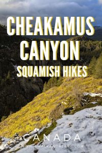 Cheakamus Canyon - Family friendly walk near Squamish, Canada