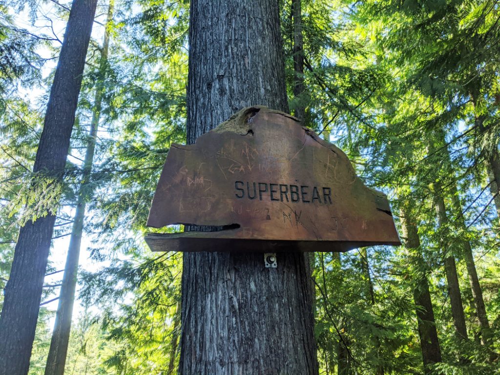 Sign on bear mountain - Superbear