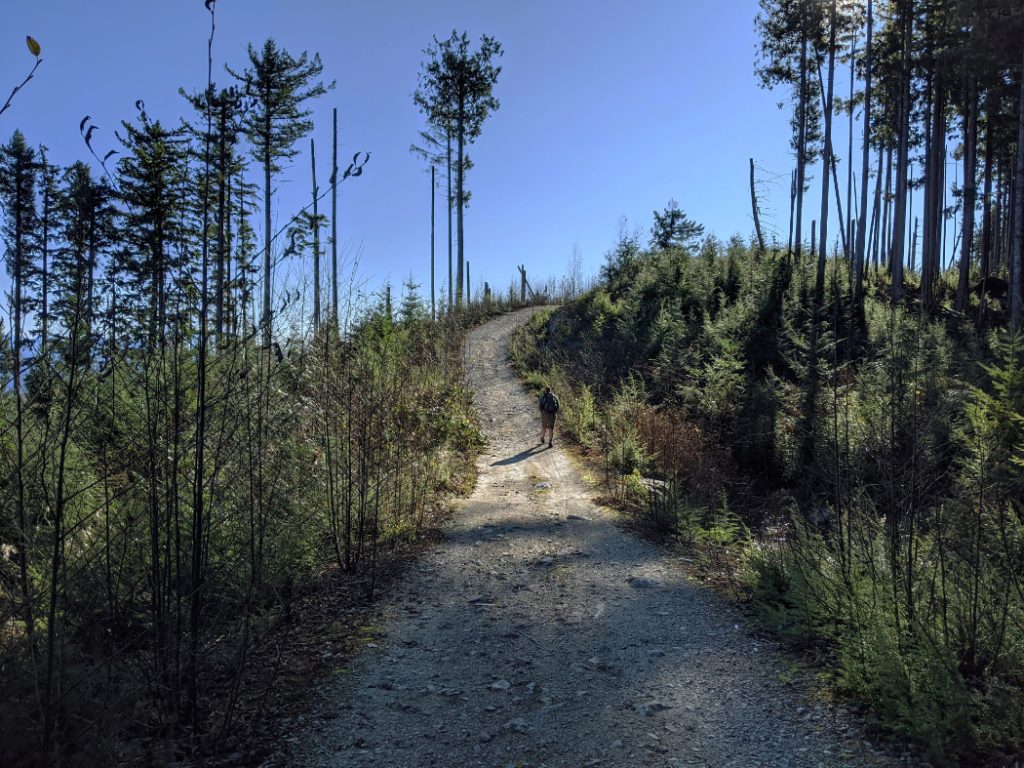 The last little trail to the top