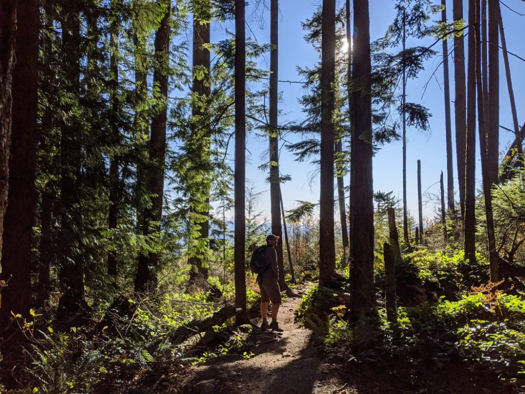 Views through the trees on Bear Mountain
