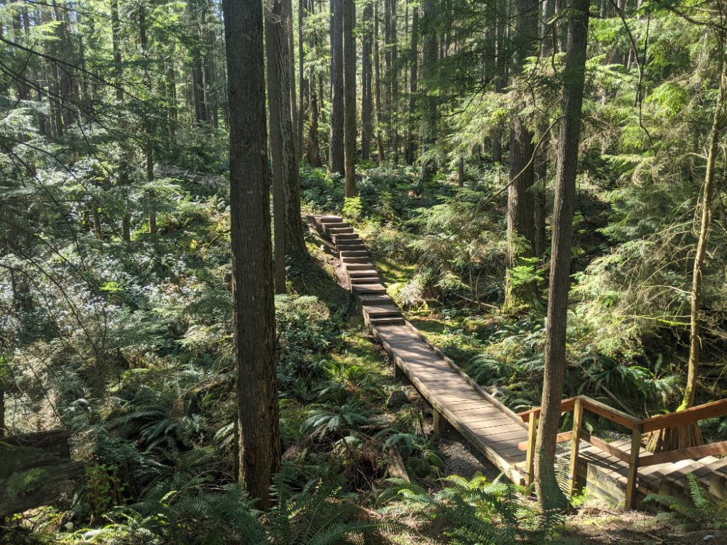 Baden Powell Trail