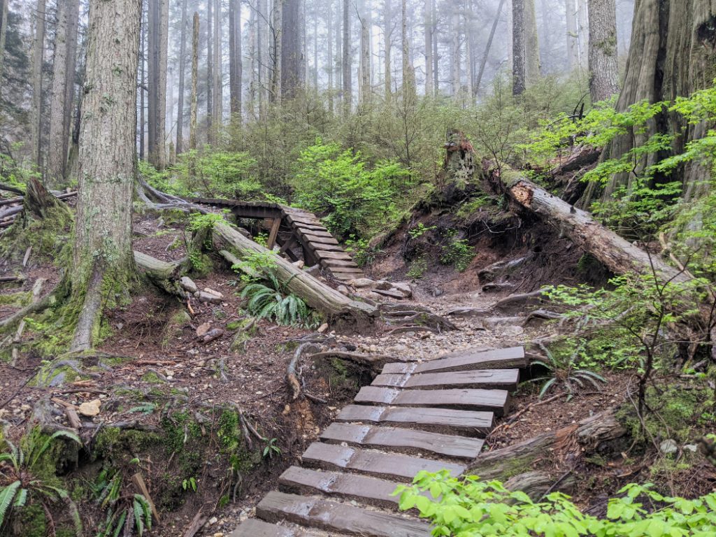Cool bike ramps on the Crinkum Crankum trail