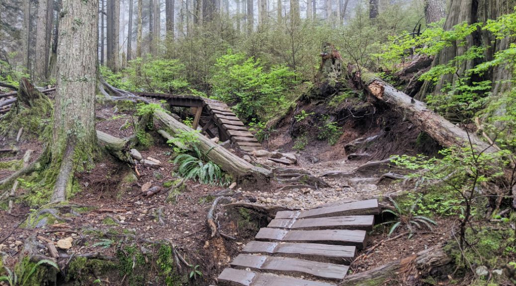 Cool bike ramps on the Crinkum Crankum trail