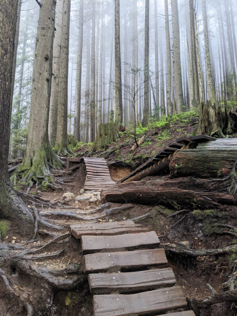 Love these bike trails - Crinkum Crankum