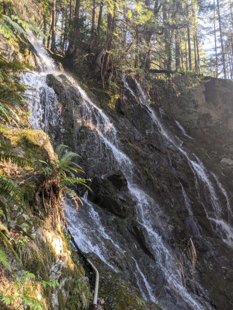 A Waterfall as we went off trail