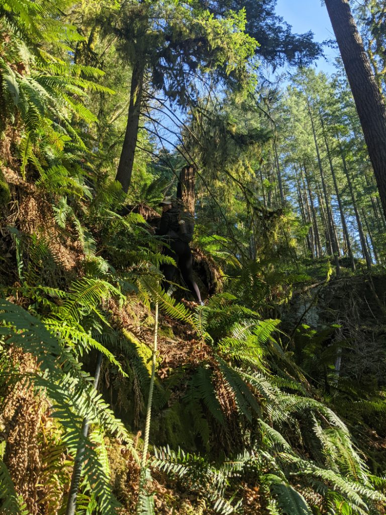 We went off course straight away up these ropes