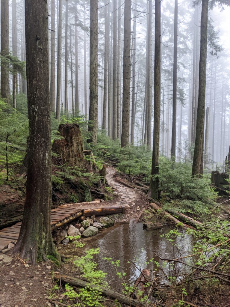 Trails, mist and puddles on Lower Mount Fromme