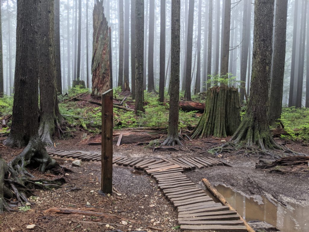 On to the Leopard trail on Mount Fromme