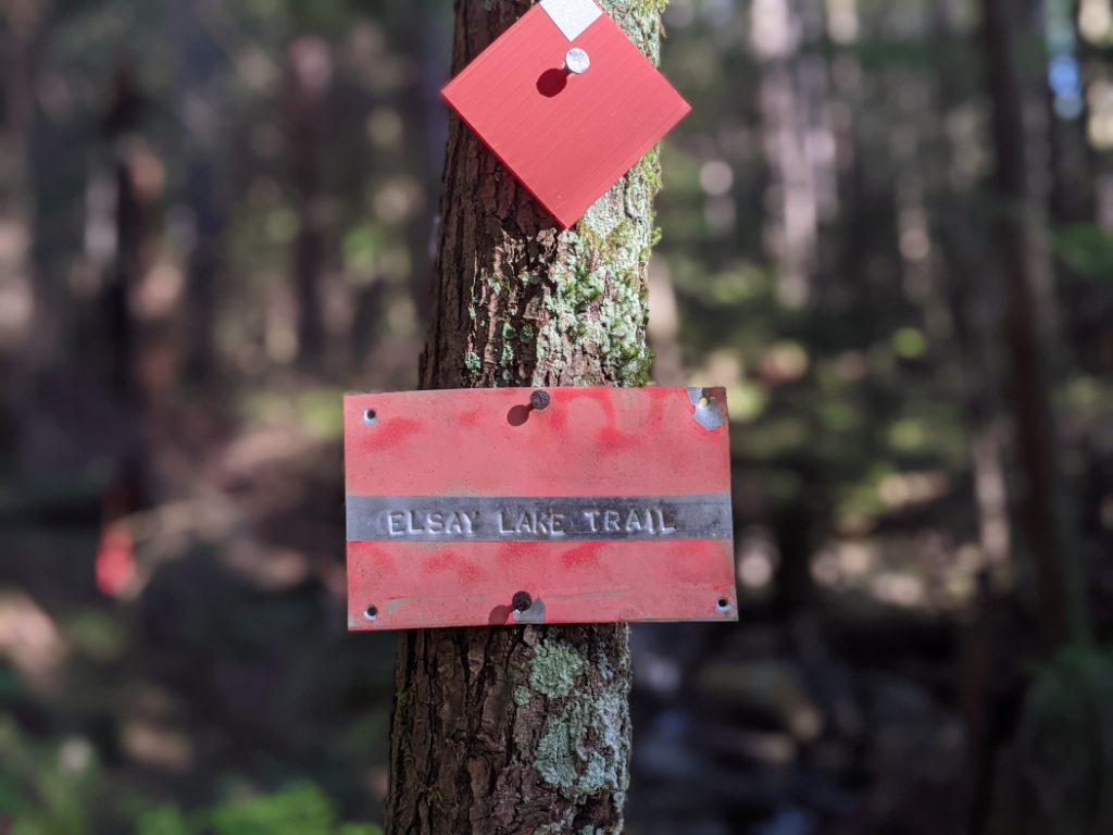 We made it to the proper trail