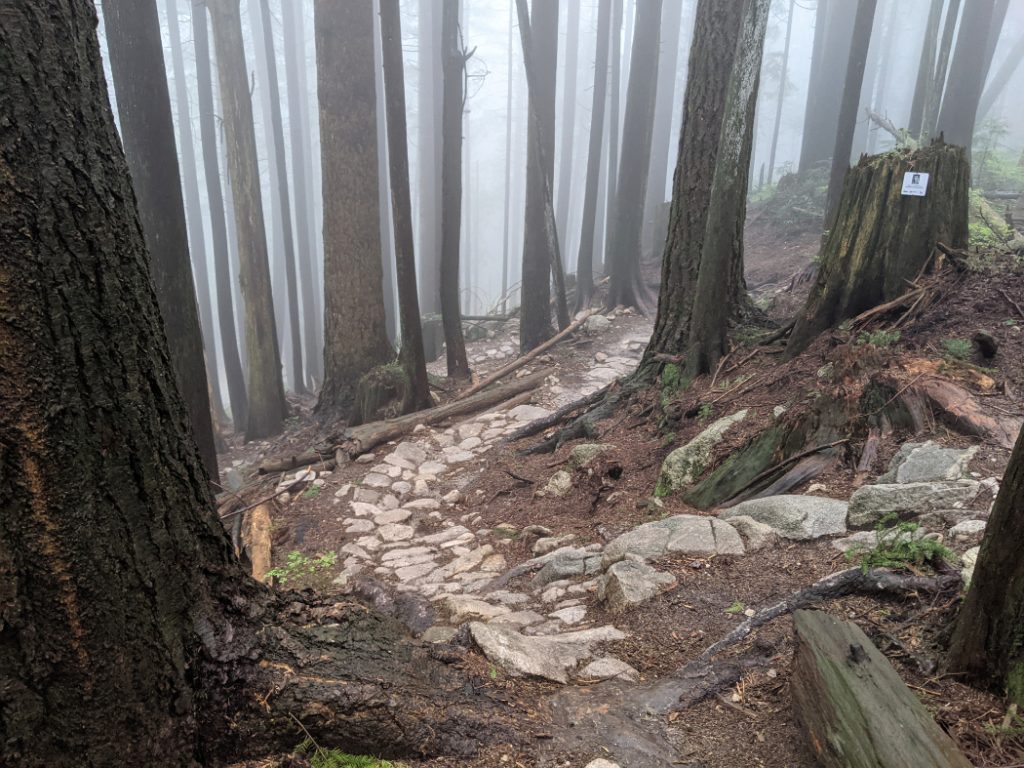 Wind your way up Lower Mount Fromme