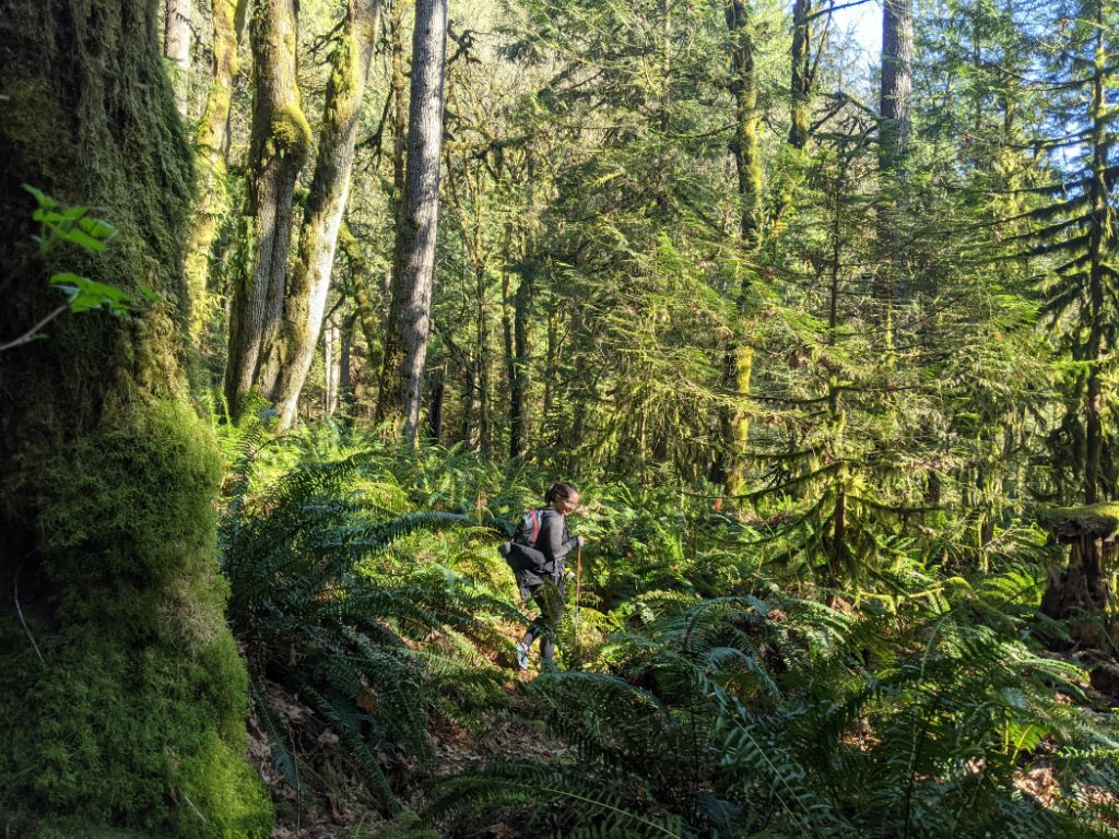 Robin showing off how lush the trail can be