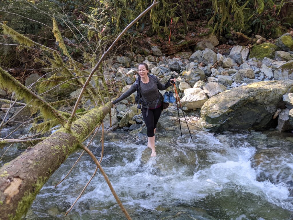 Robin Crossing Shone Creek