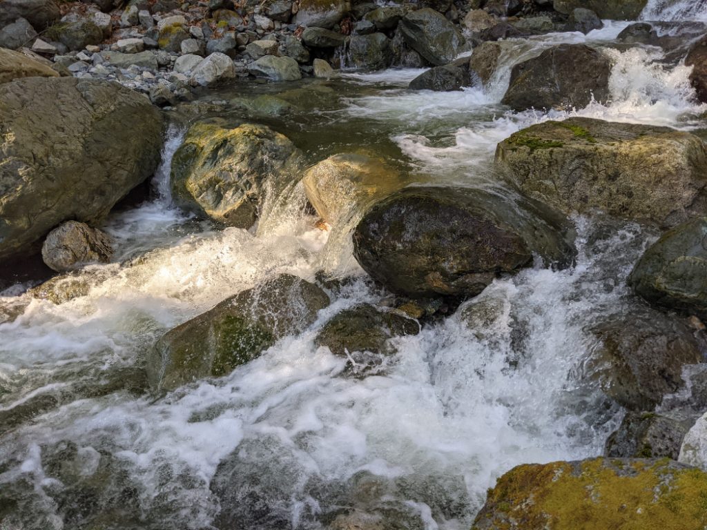Shone Creek was quite full