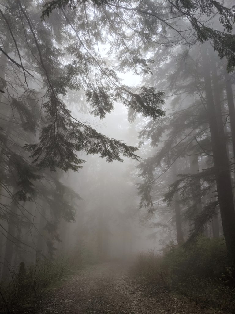 Heading down the Grouse Mountain Highway