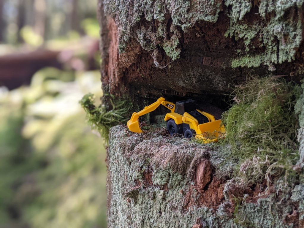 Watch out for a digger, hiding in a tree