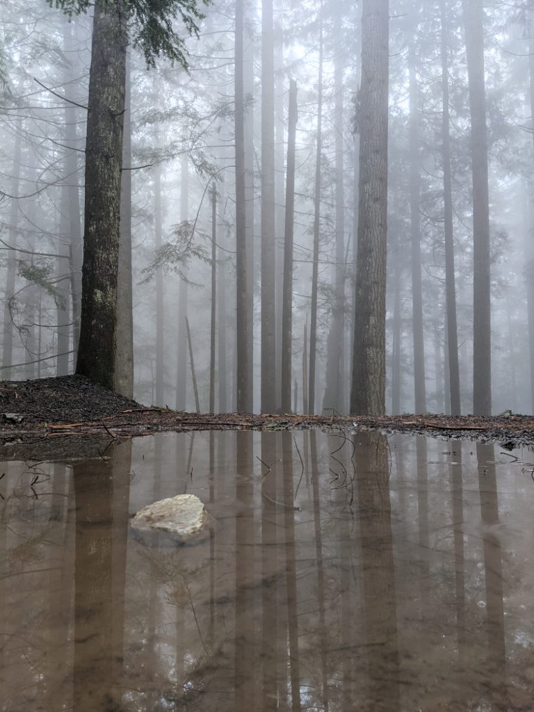 A puddle along the Grouse Mountain Highway