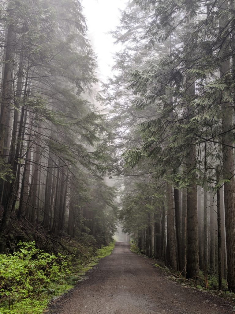 Grouse Mountain Highway views