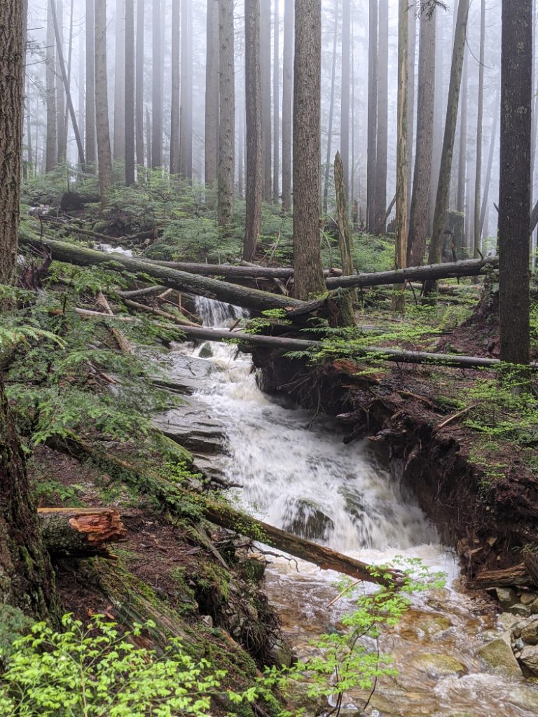 One of the mini waterfalls along the Grouse Mountain Highway