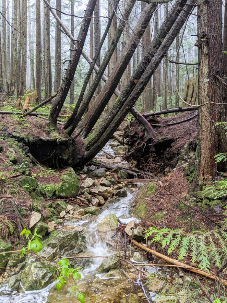 Stream on Lower Mount Fromme