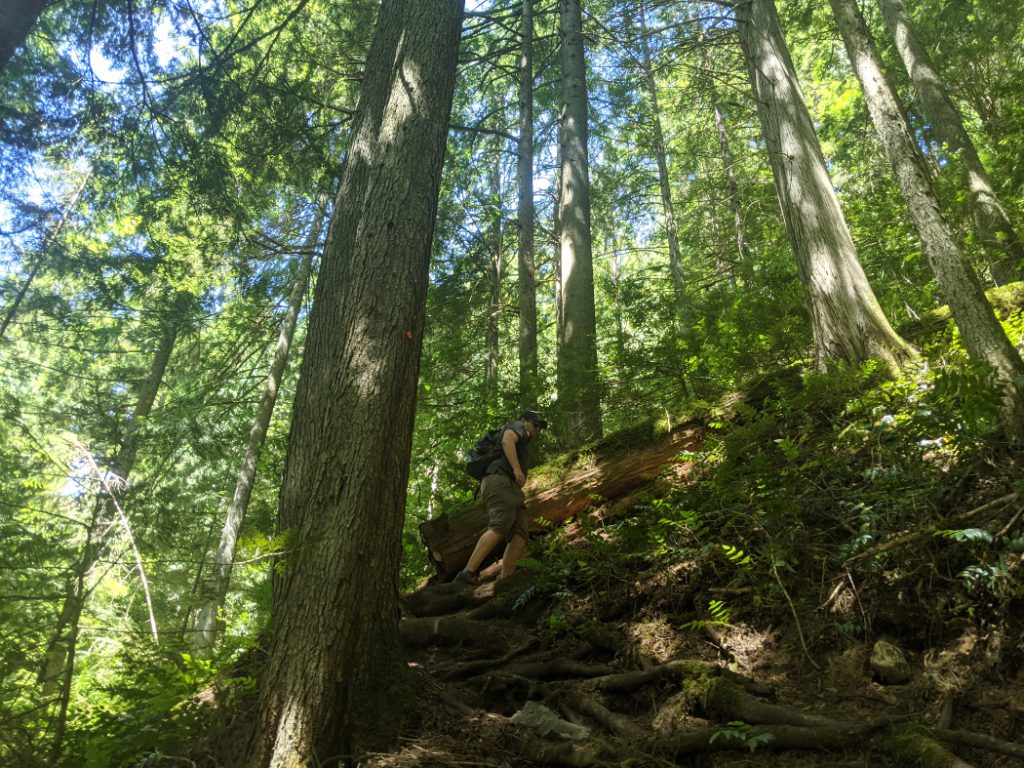Steep, green trail to Eaton Lake