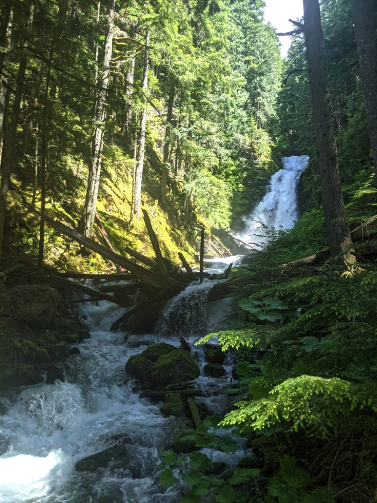 View of Eaton Creek Falls from after crossing the creek