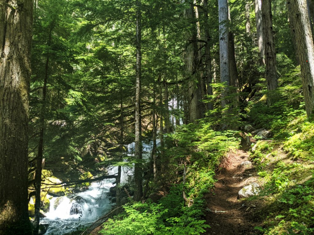 Trail on one side, Creek on the other