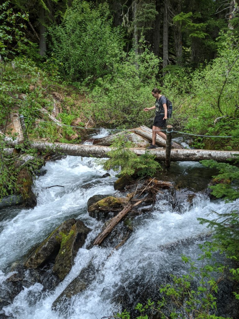 I LOVED this bridge over Eaton Creek