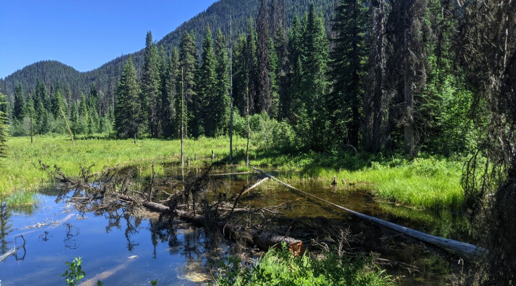 Beaver Pond with Windy Joe in the background