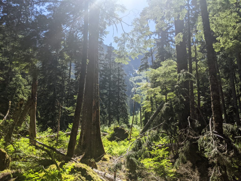 First mini viewpoint after Covile Campground